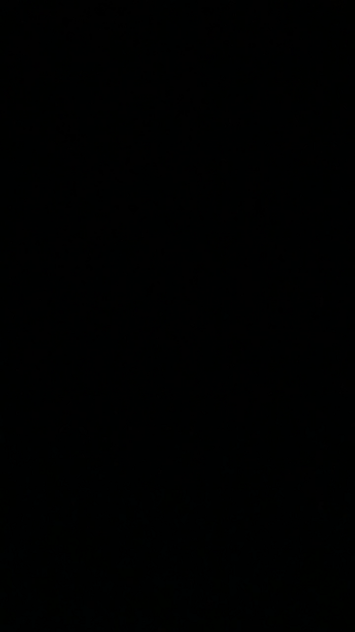 alessandravite1