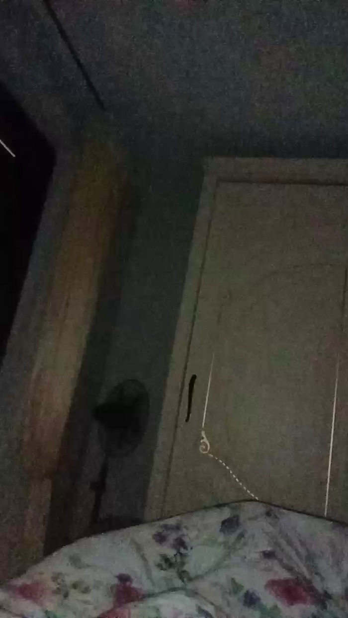 Divertiamoci86