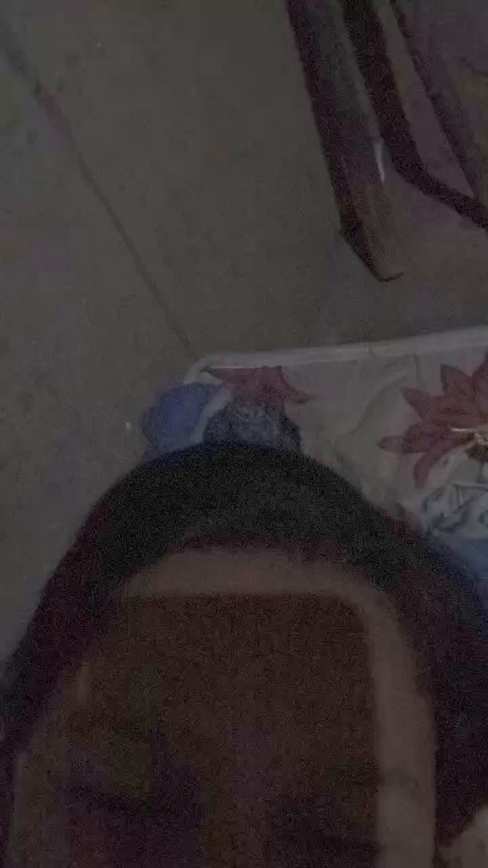 natalia322