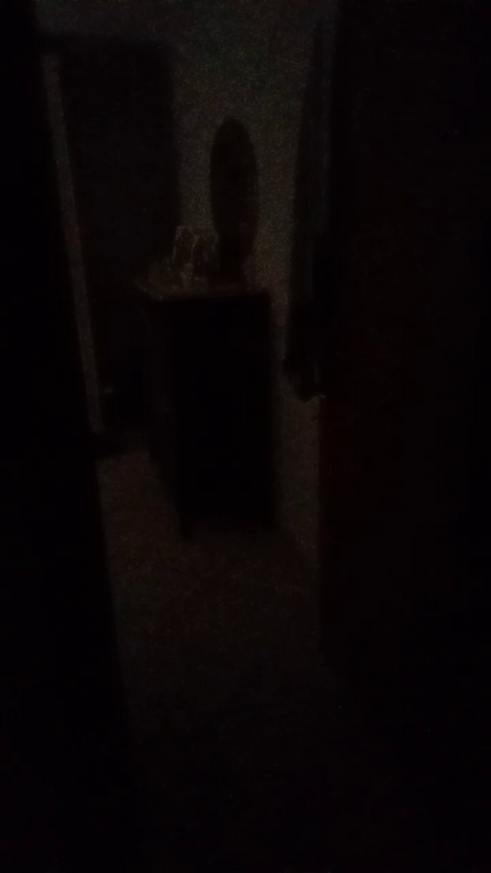 Divertiamoci86