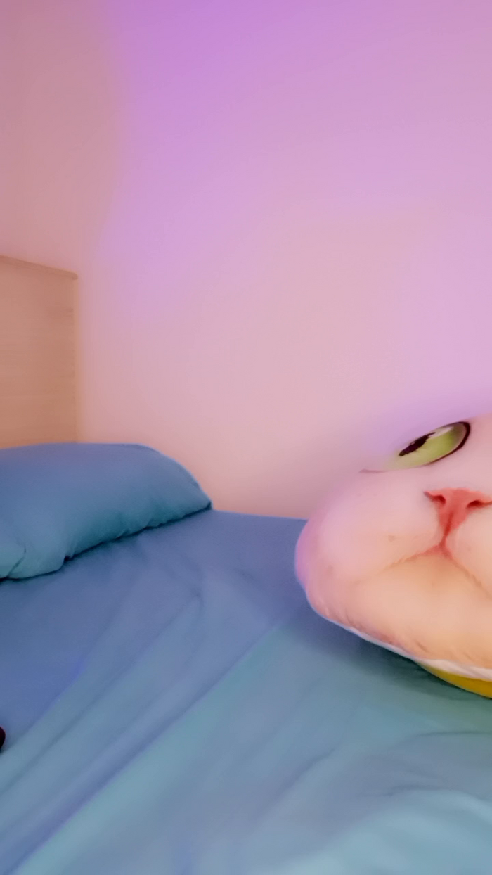 MonyCat_