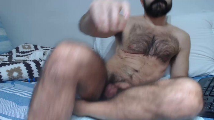 hairycerberus