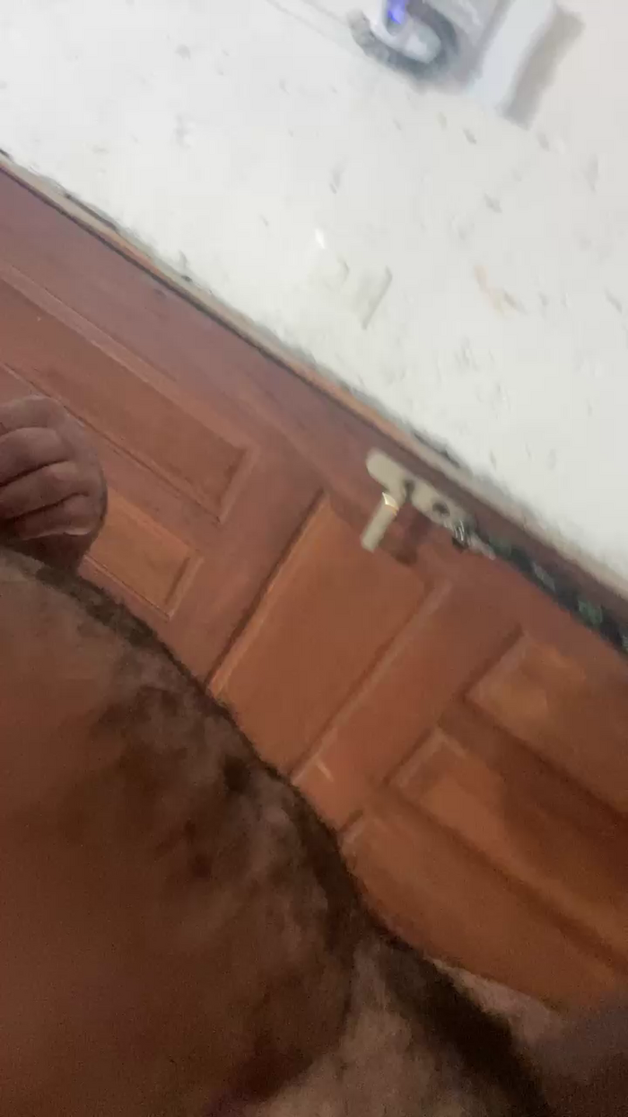 Casalfloripa06