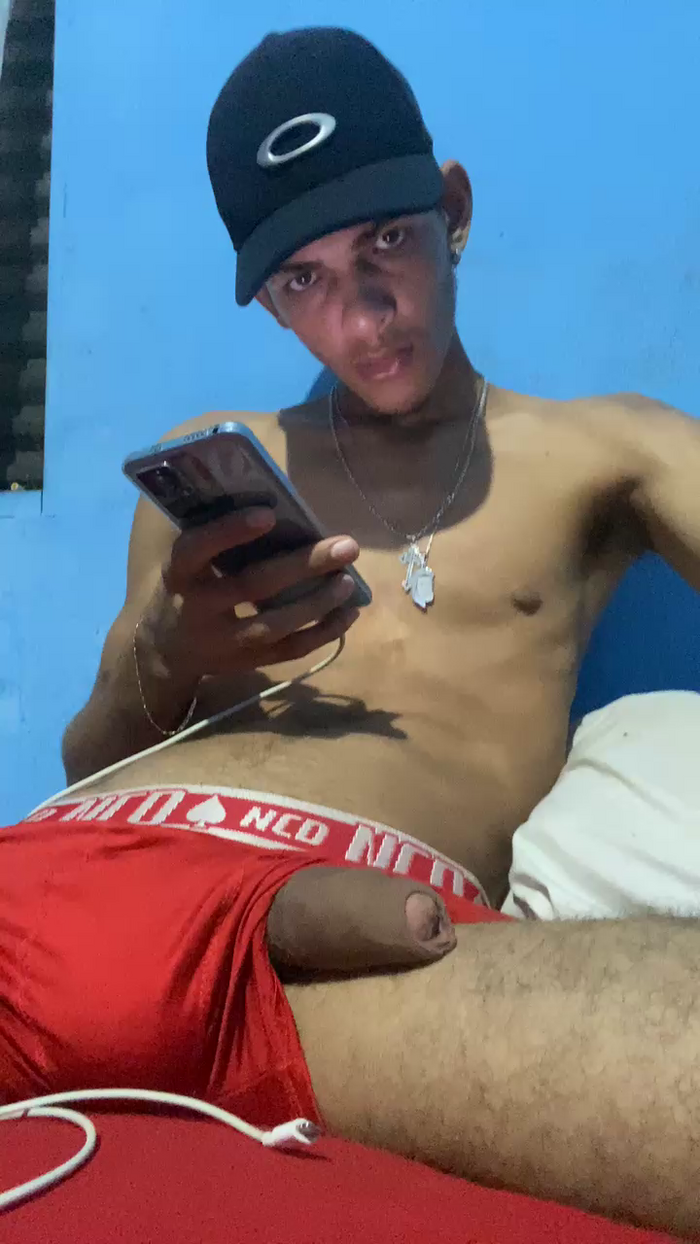 Novinhodotd