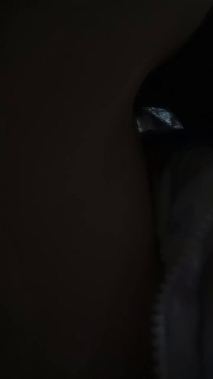 Lidia_34