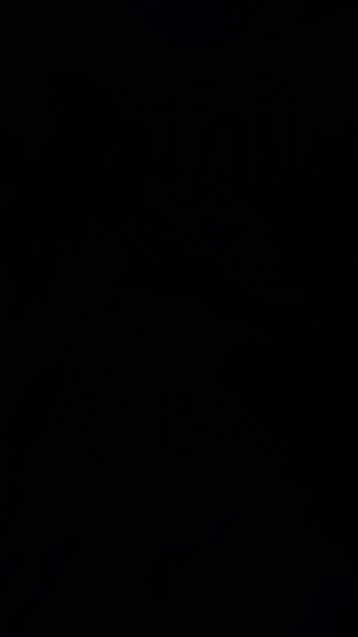 Piccola221