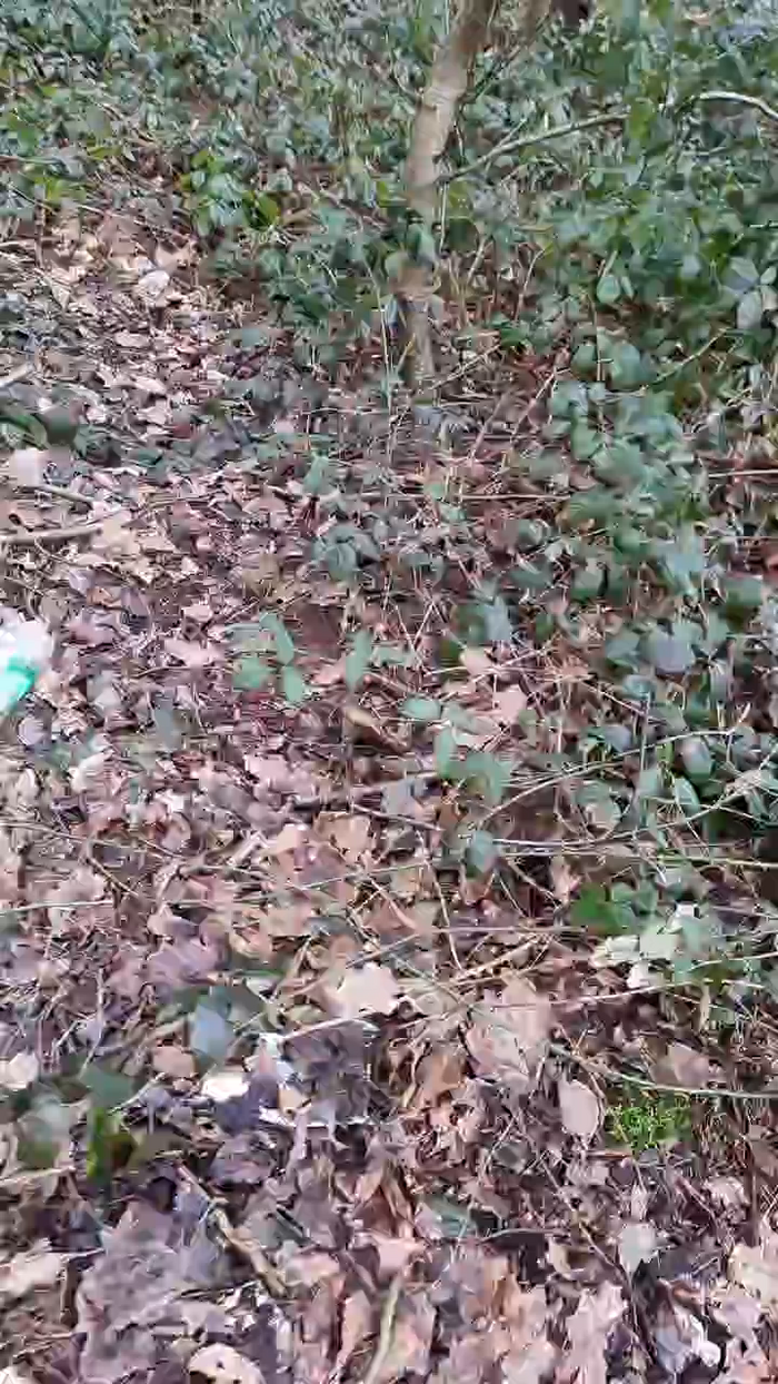 Outdoorgeil1