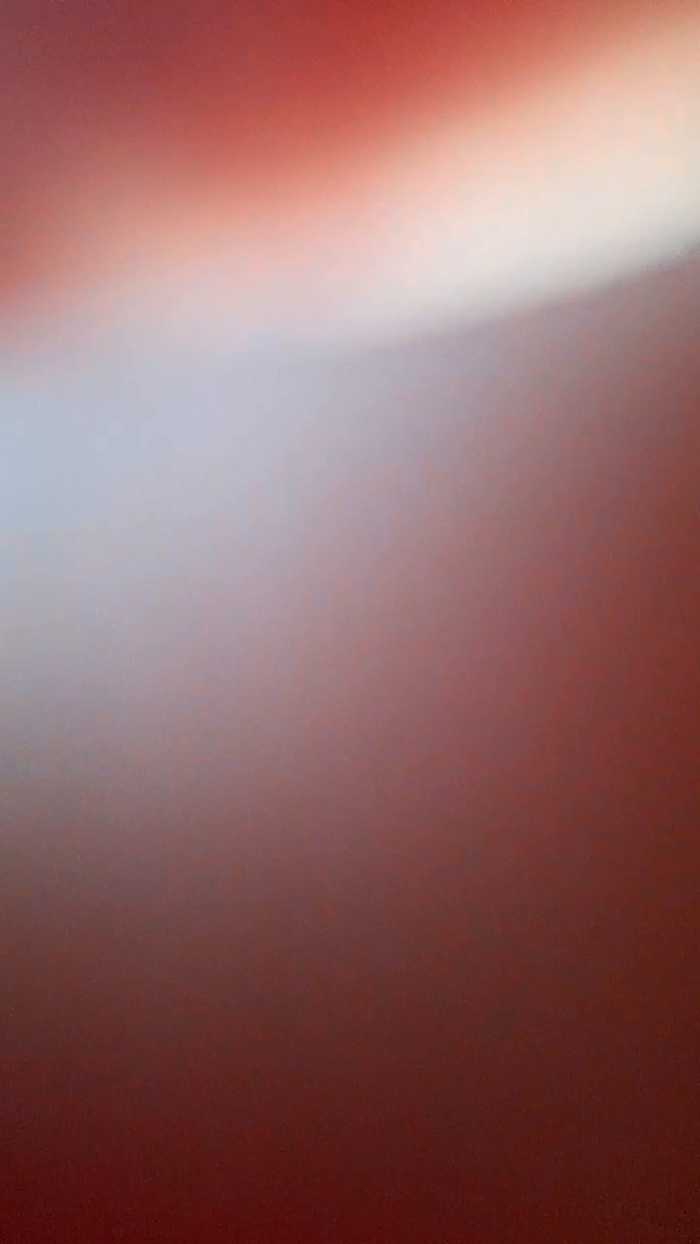 blackbebina