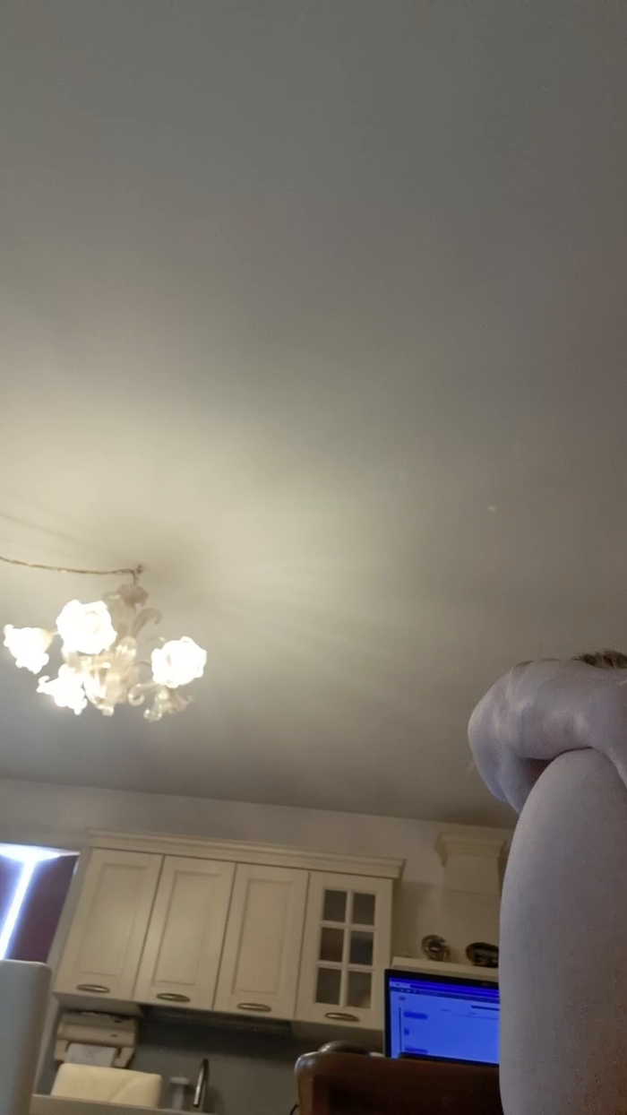orchideahot