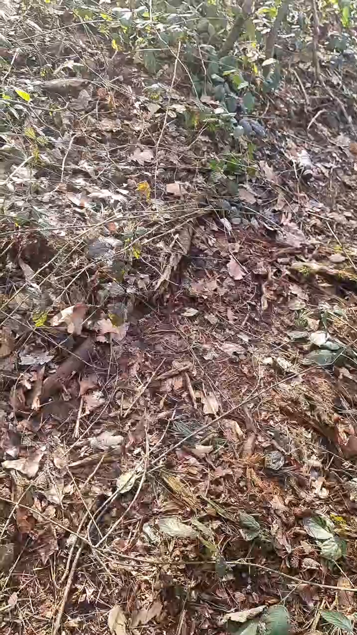 Outdoorgeil1