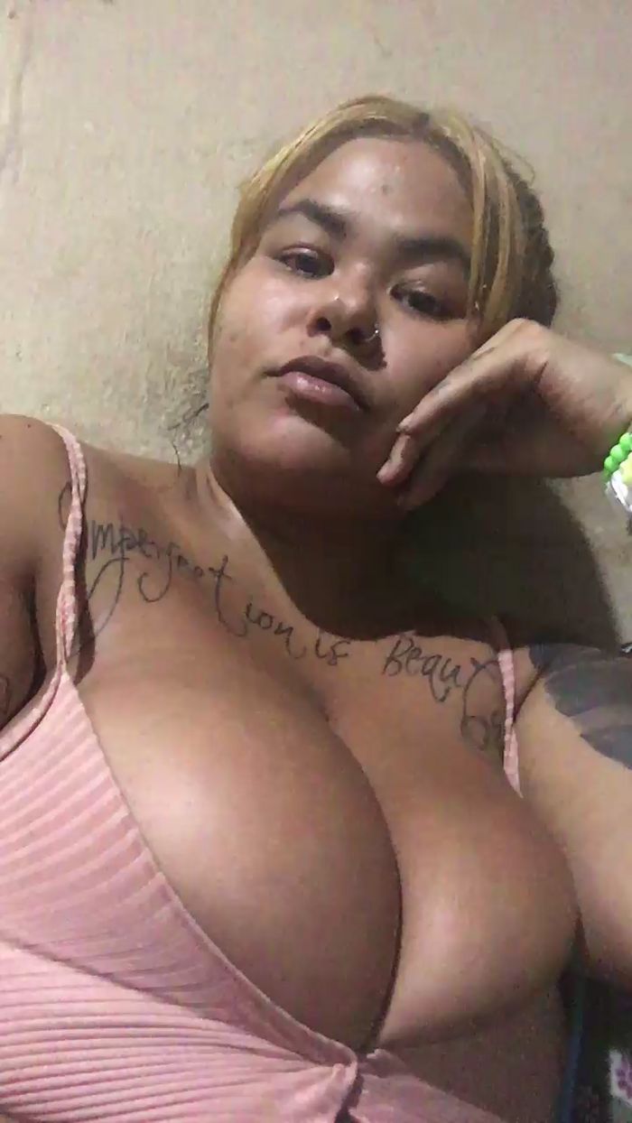 Gatinhas2025