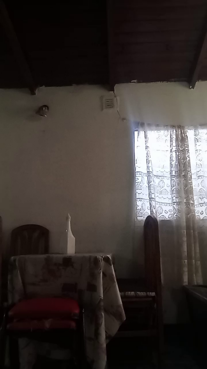 Piccola221