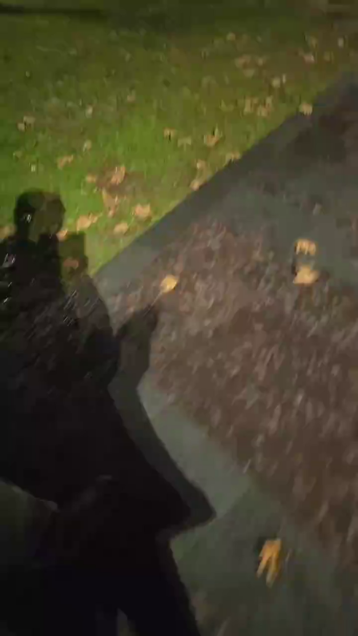 pollen_07