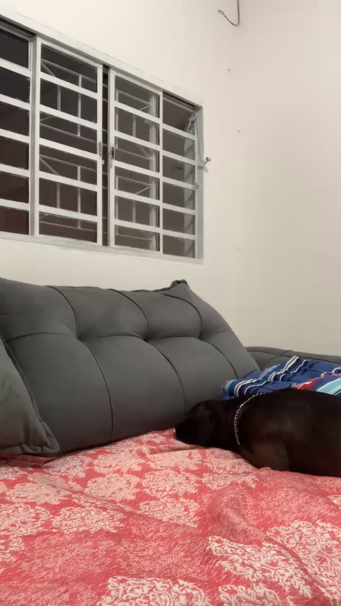 Morenabrasil09