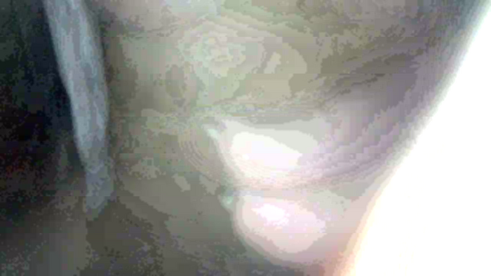 gattinevogliose