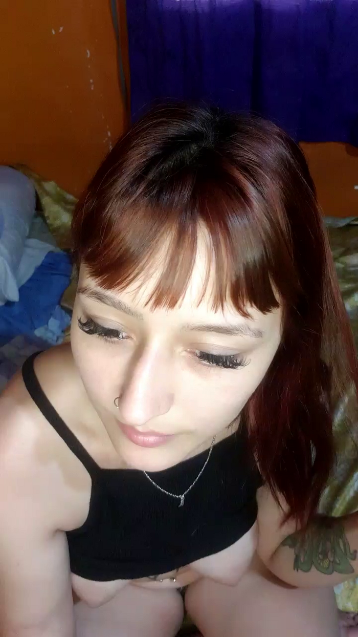 Dollb