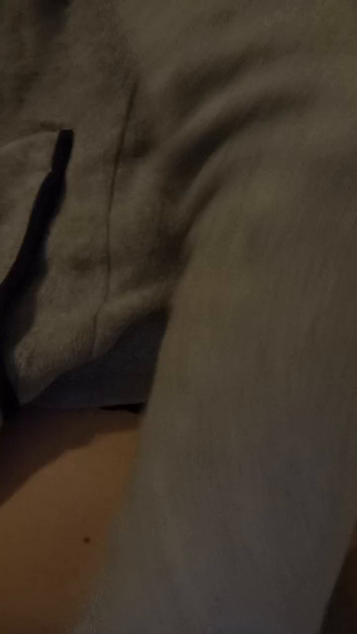 Petas2luxe