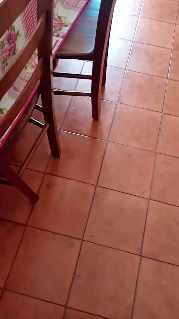 Chiaretta19_hot