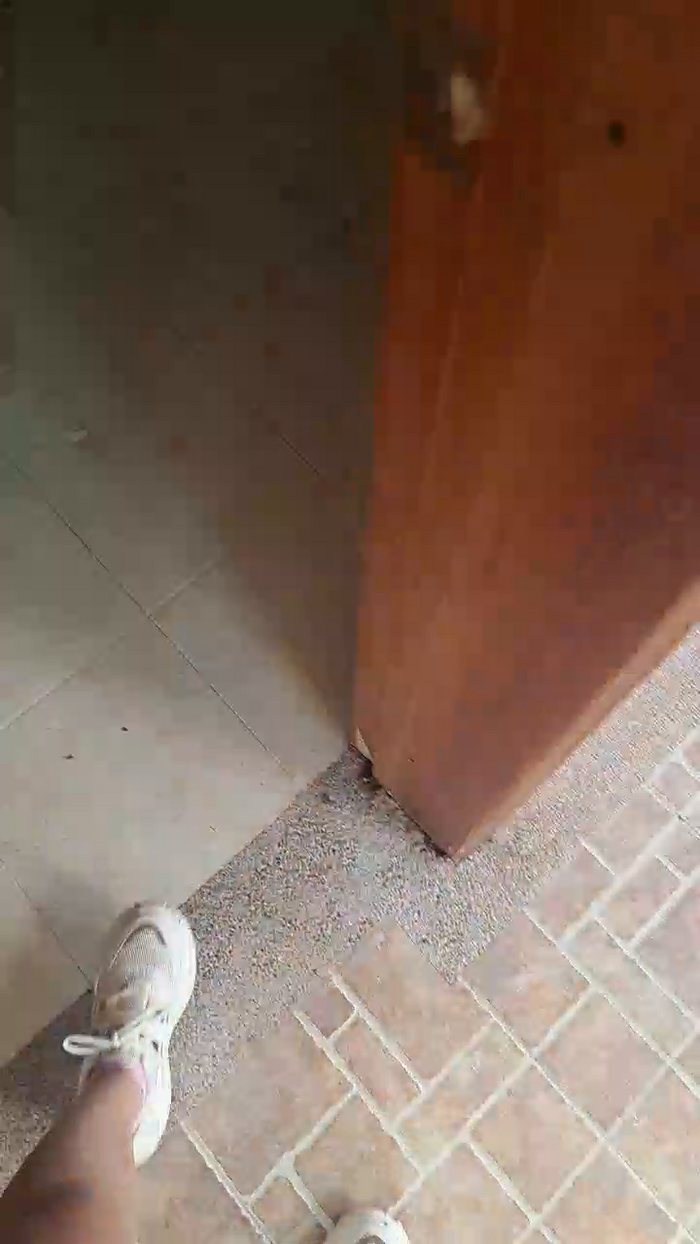 Tania__honey