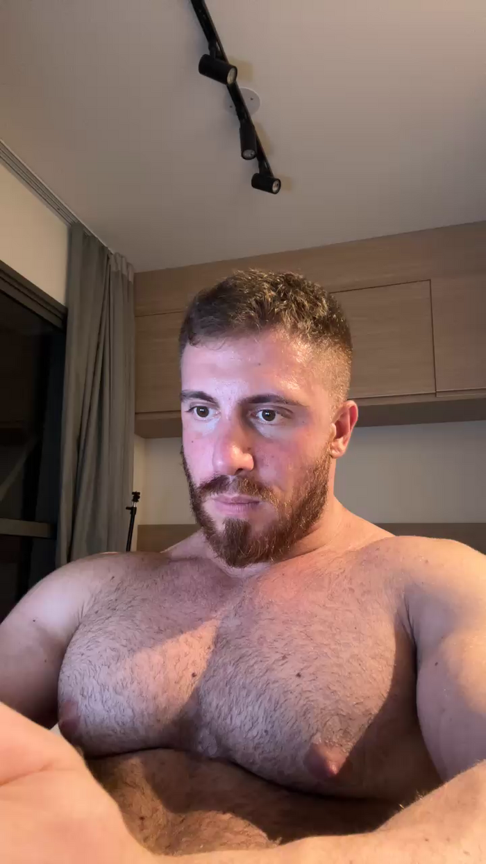 Bigwhitebull