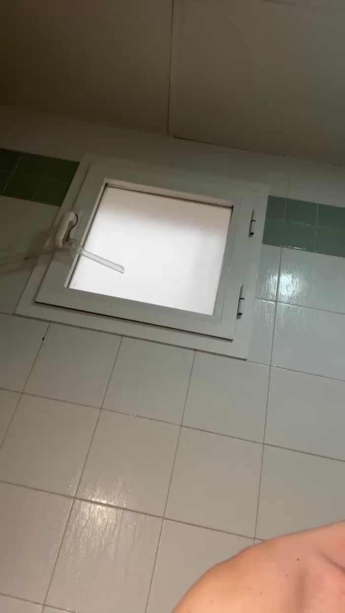 Pollon29_cm