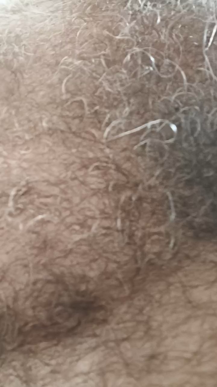 peludao3
