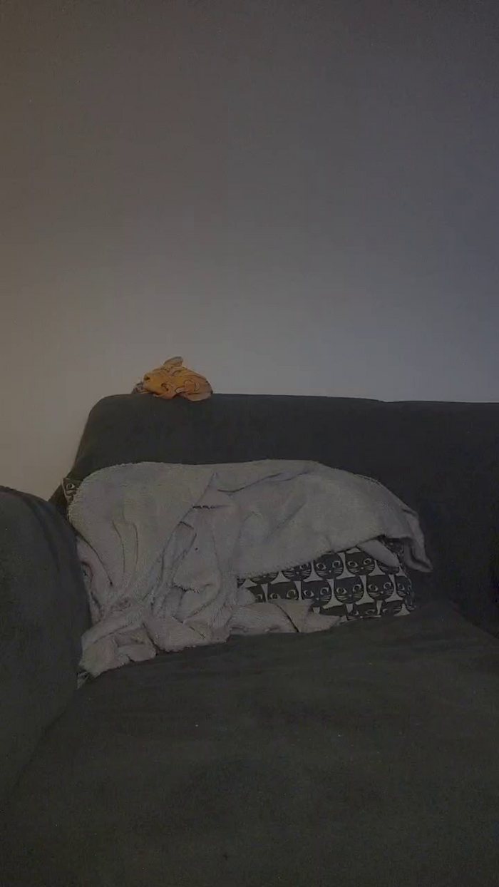 Noemyfrenchy