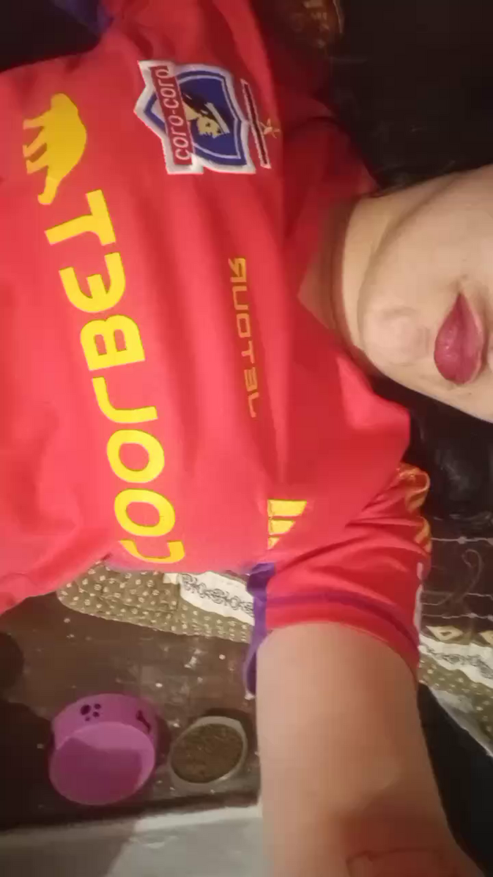 nooocllama