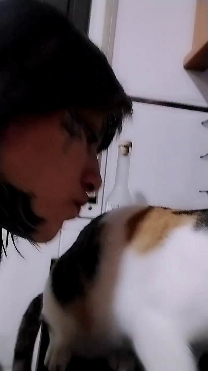 toxykitti