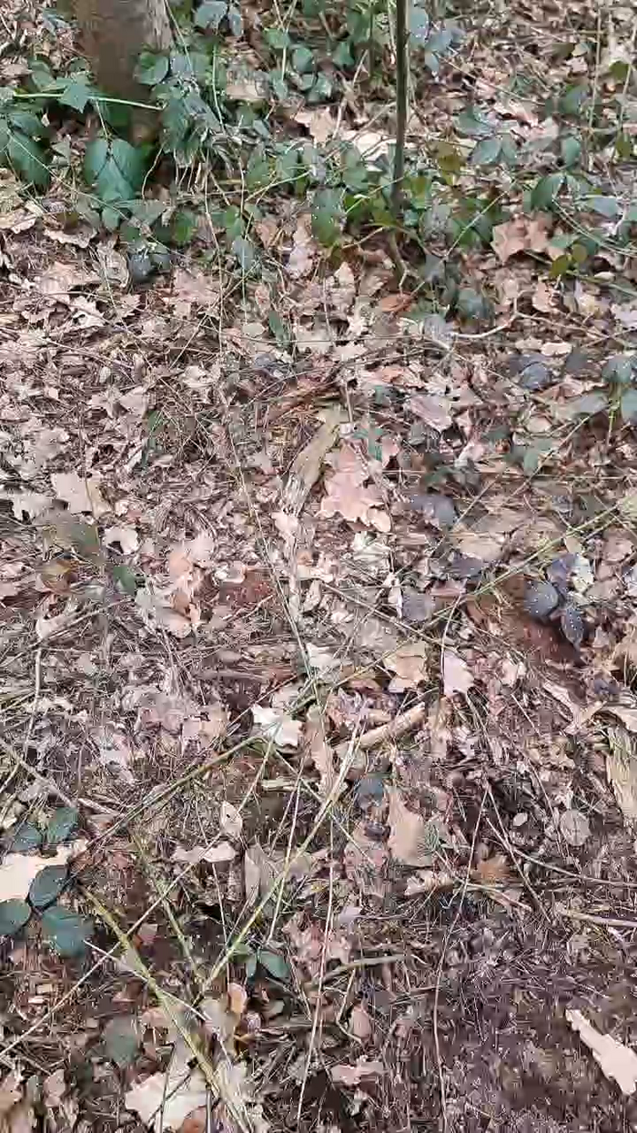 Outdoorgeil1