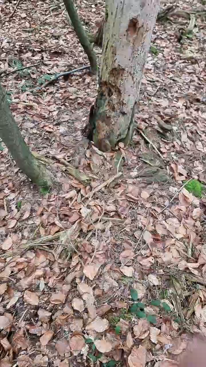 Outdoorgeil1