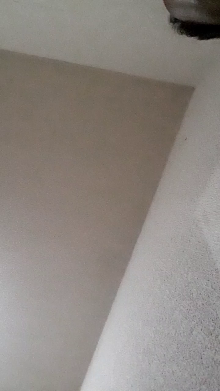 REGIHH_ROO
