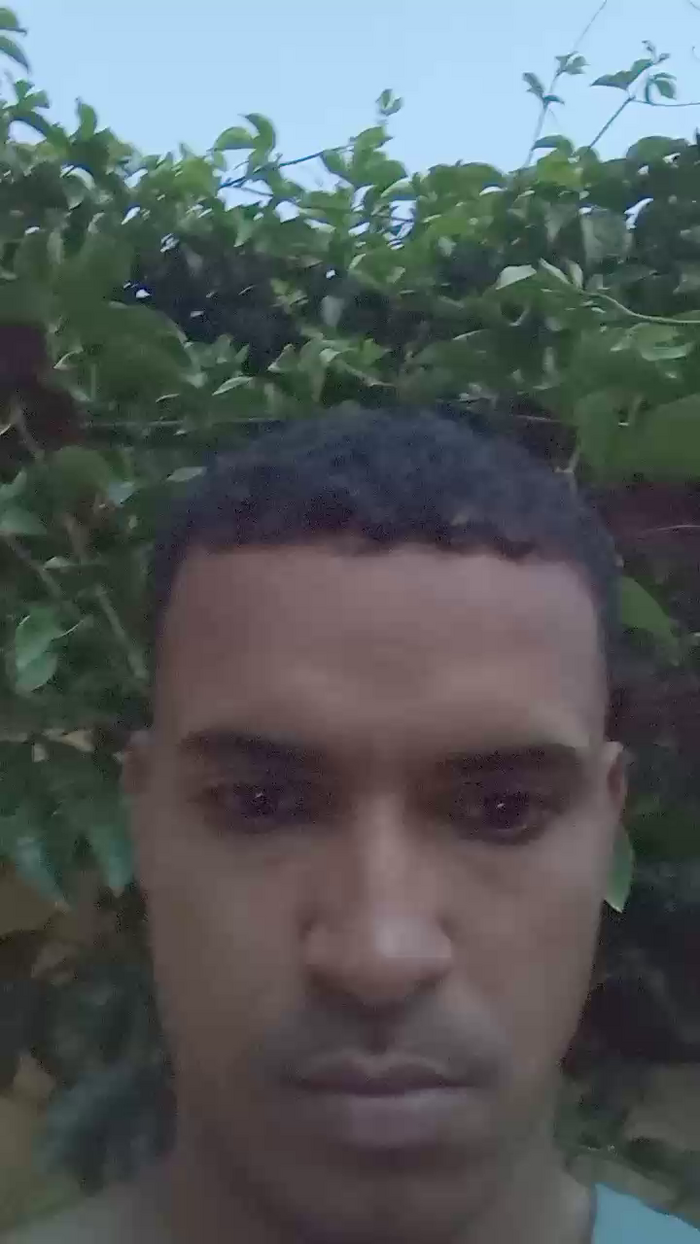 dotadocomedor1