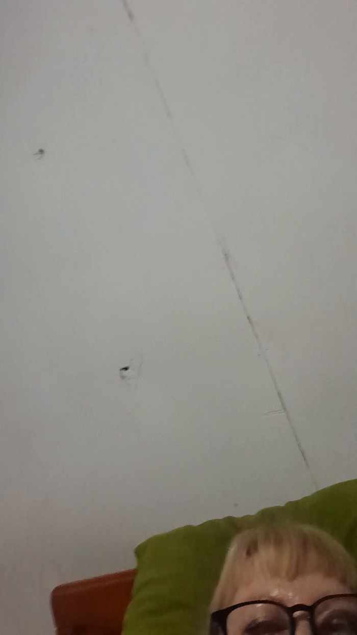 msexymilf69