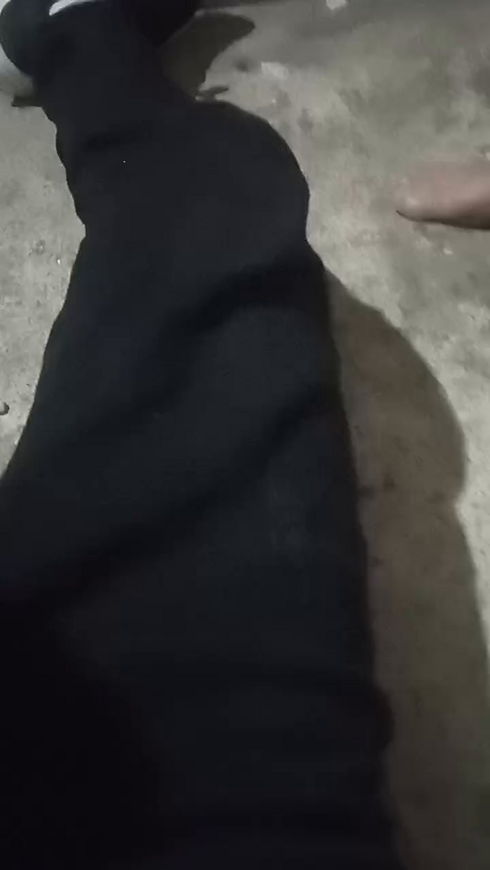 felixm98