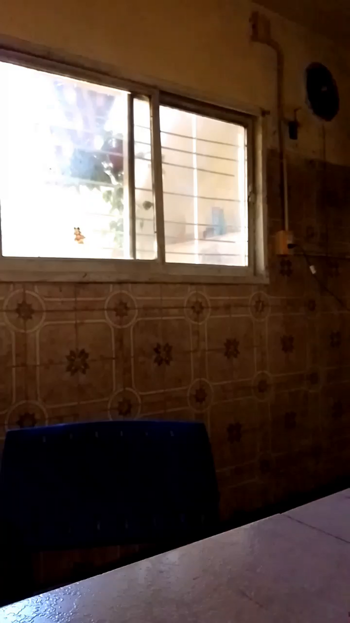 Diosa46