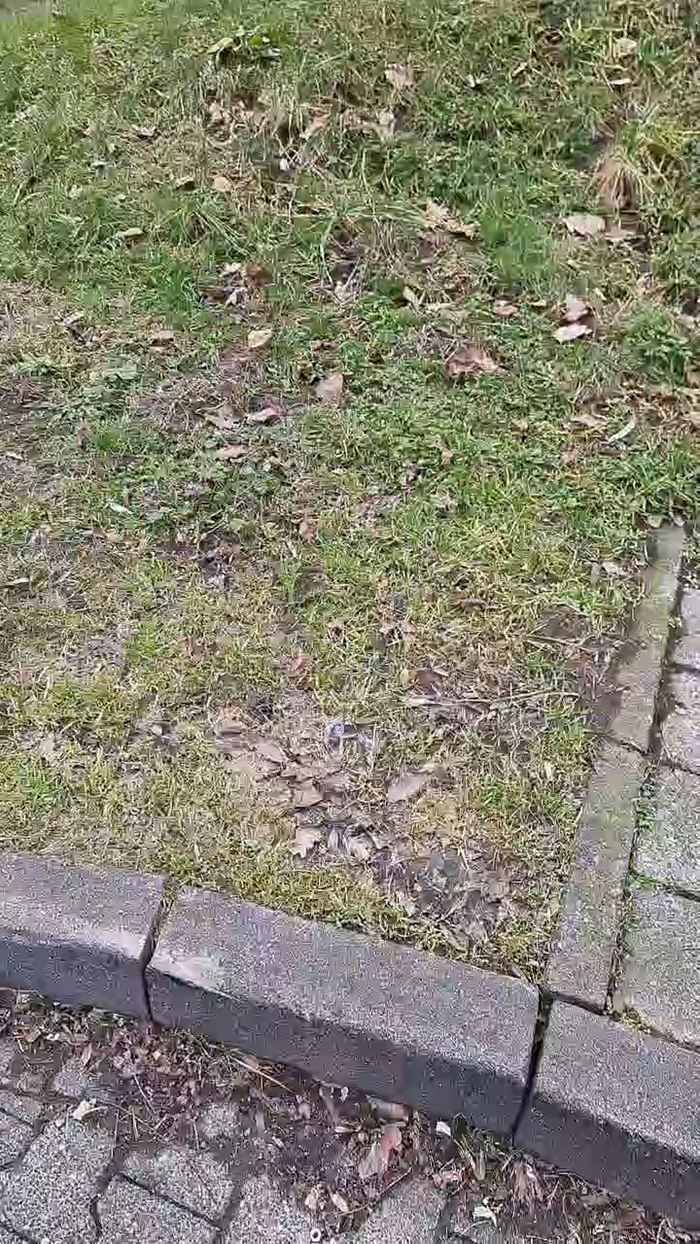 Outdoorgeil1