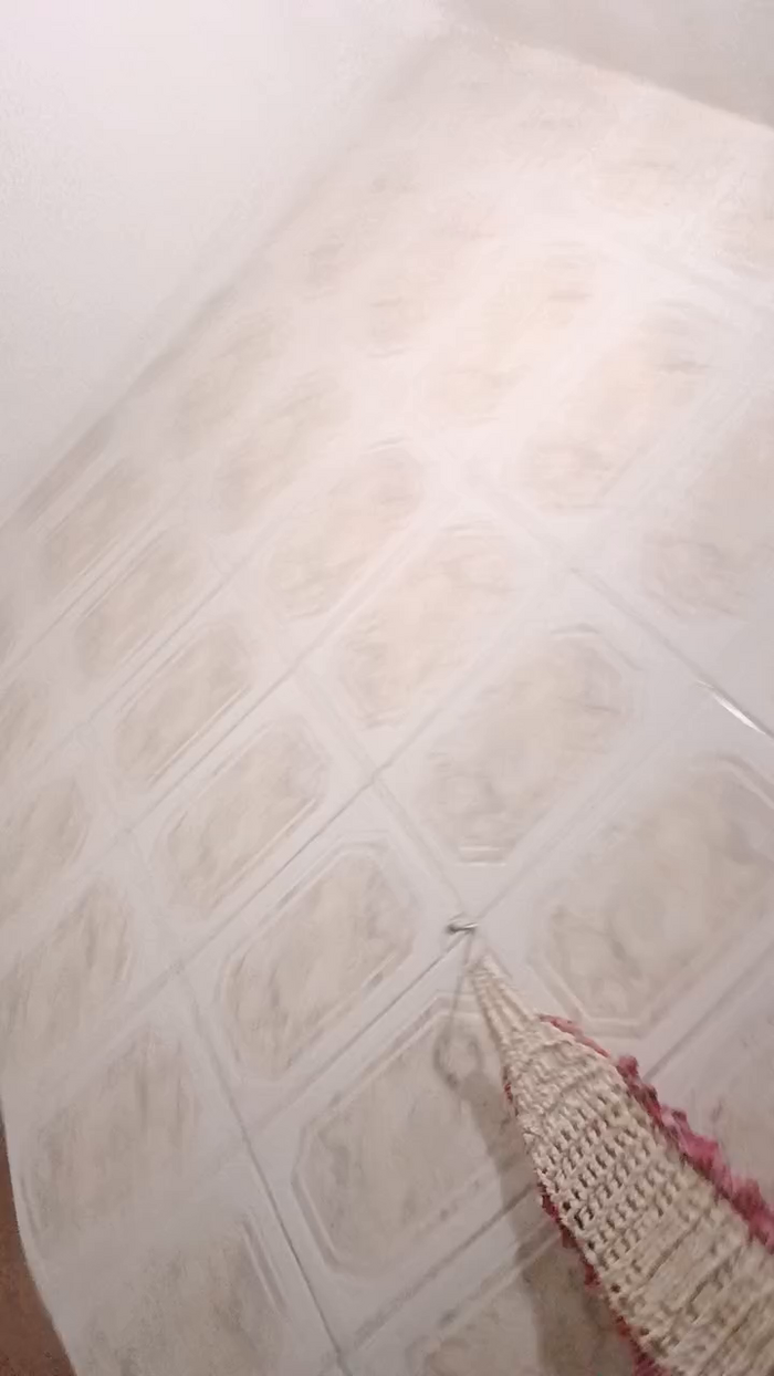 PicaPreta021