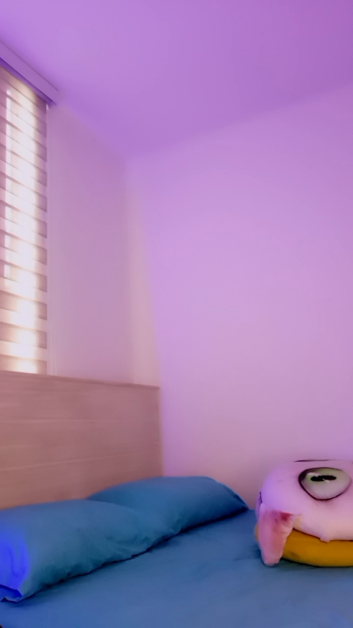 MonyCat_