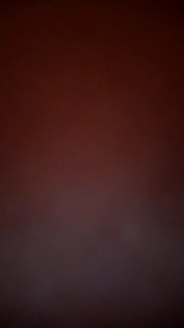 zoe_kimm