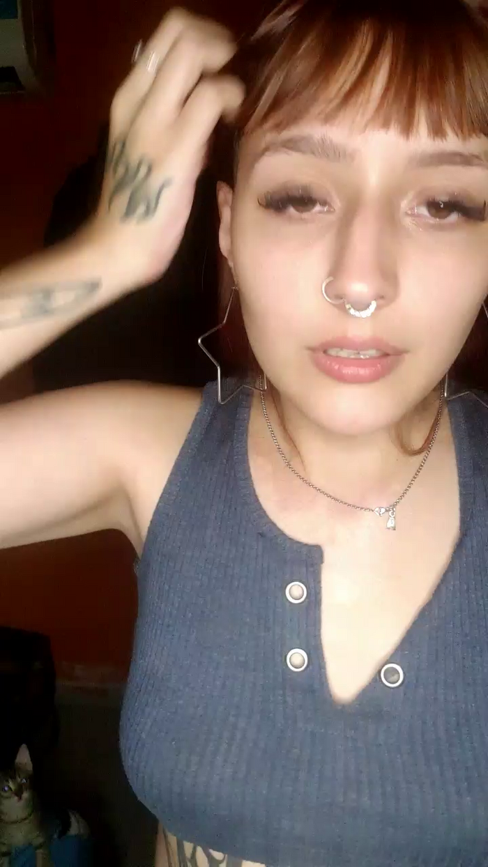 Dollb
