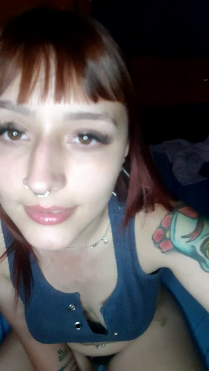 Dollb
