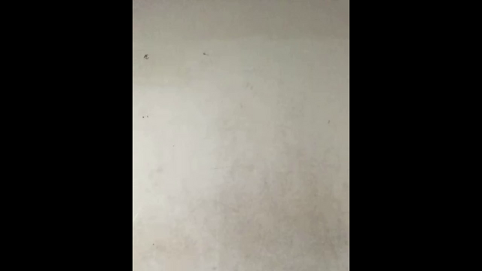 amandasouza8