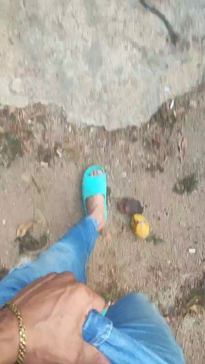 Papiyoungpig