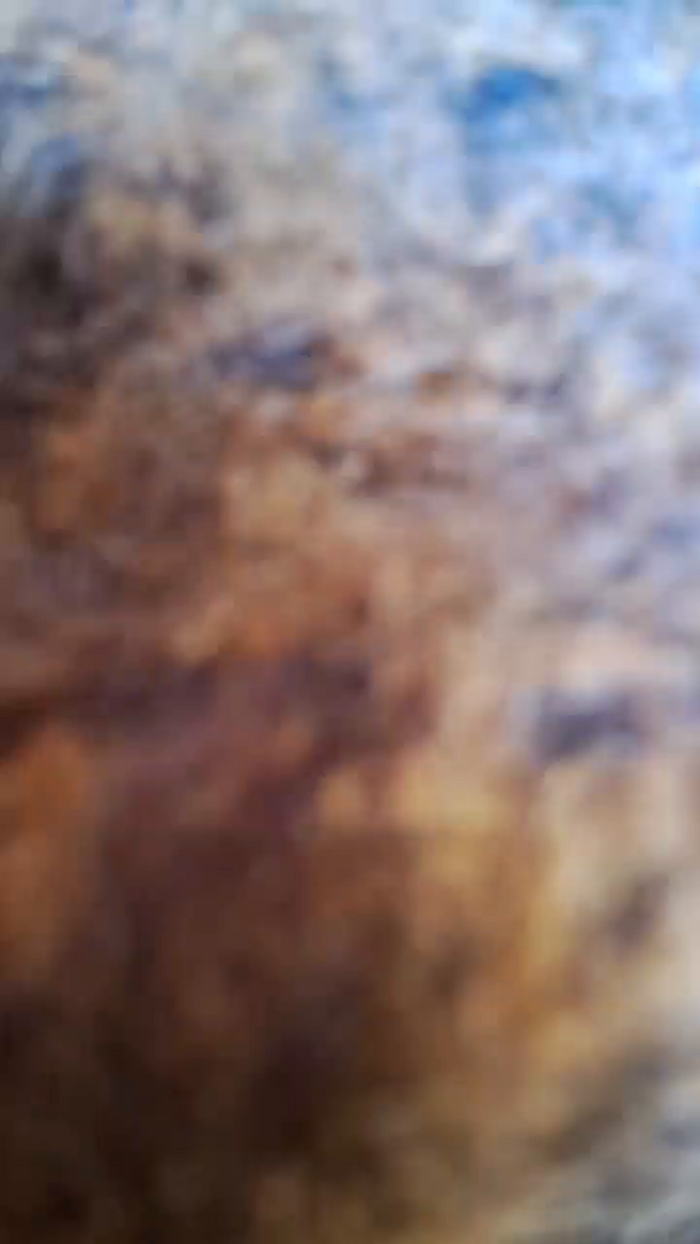 icespice69