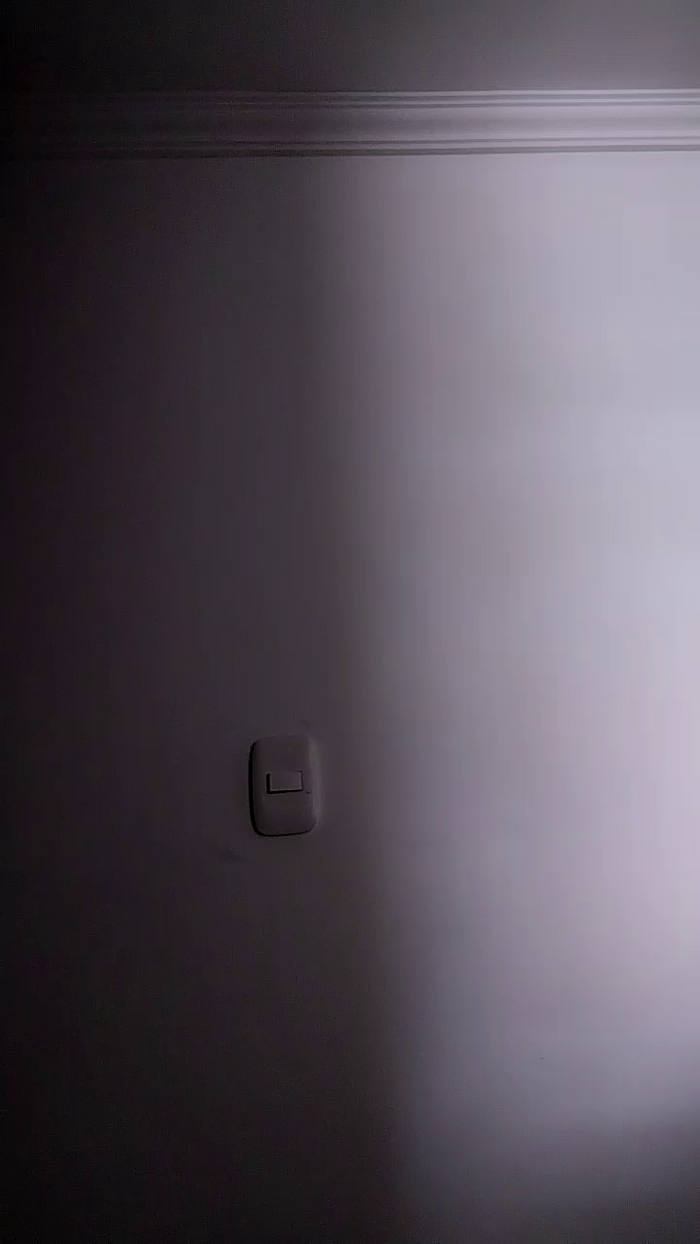 Louisa_suzett2