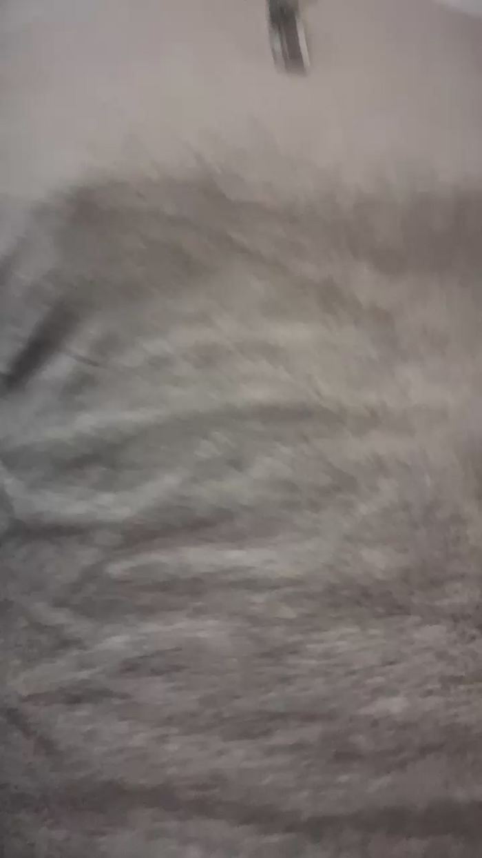 giangibus2