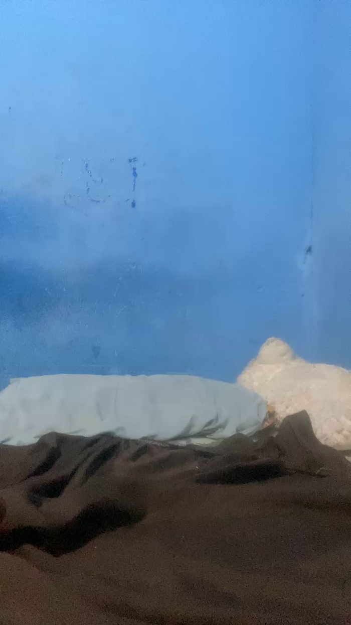 Nanny_hotbaby