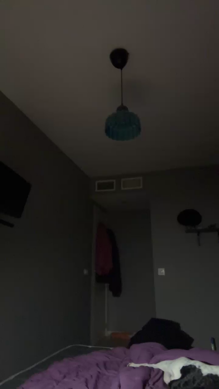 Pollon29_cm