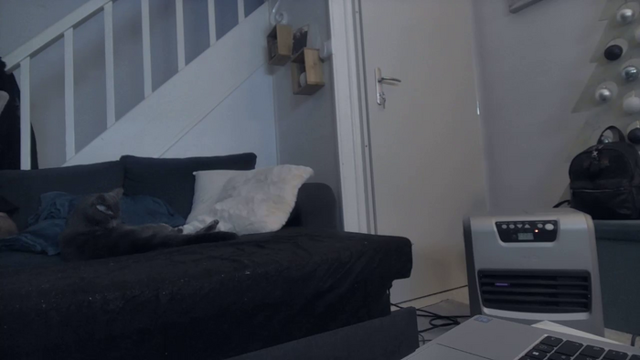 Lolybluelamilf